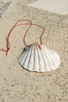 /album/musla/img-1966-jpg/