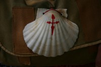 /album/musla/img-2052-jpg/