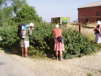 /album/na-malinach/p1010025-jpg/